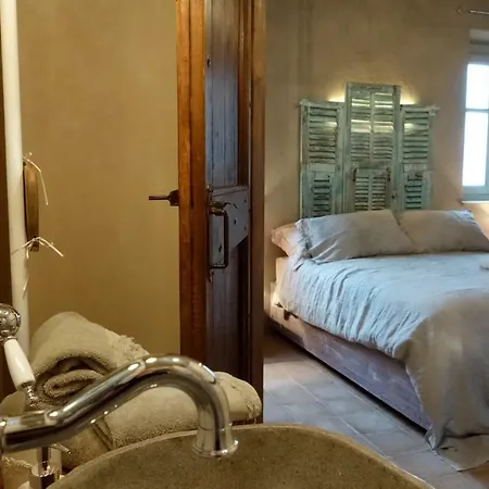 Degli Ultimi Vignale